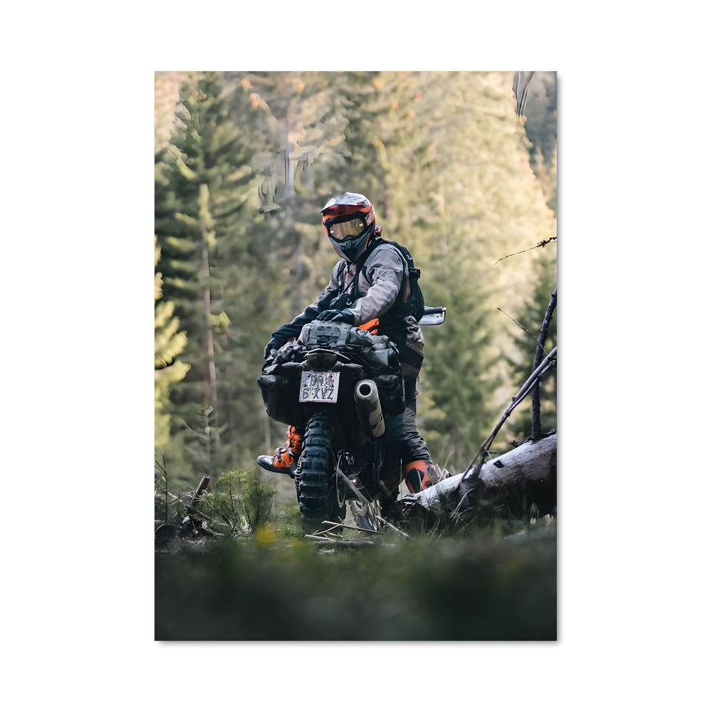 Poster Rider de la Forêt