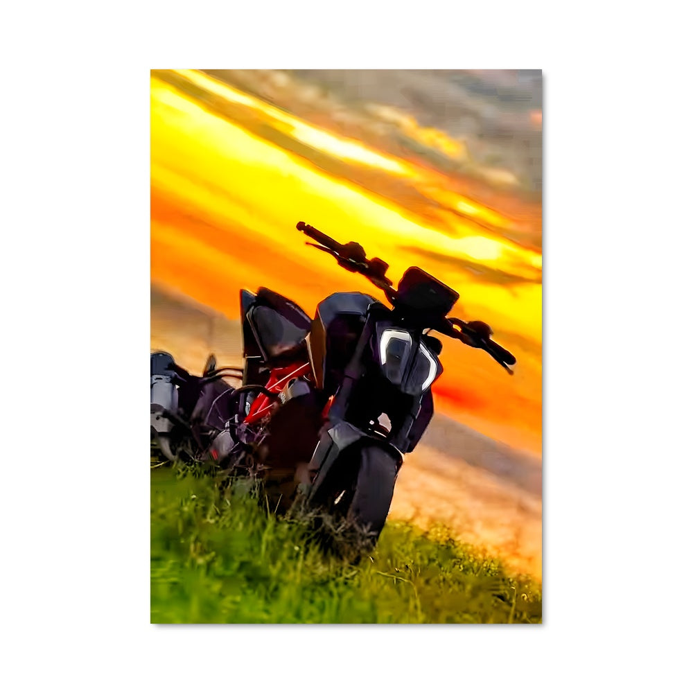 Poster 390 duke 82522