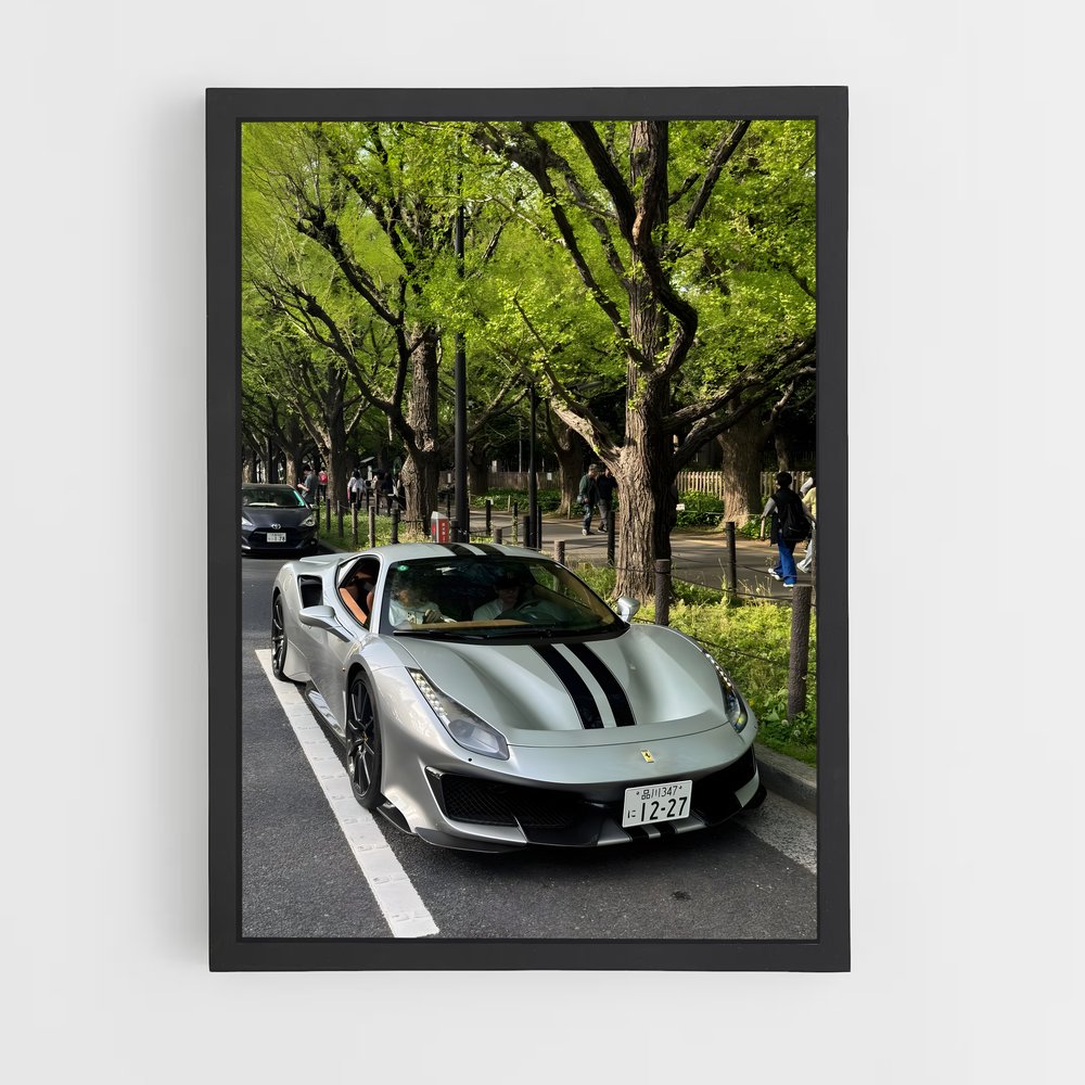 ap-488 pista-5 cadre Noir