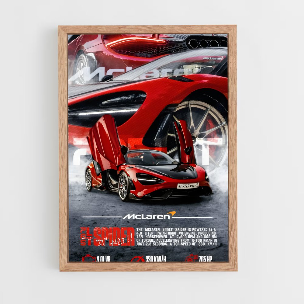 ap-765lt spider-4 cadre Bois clair