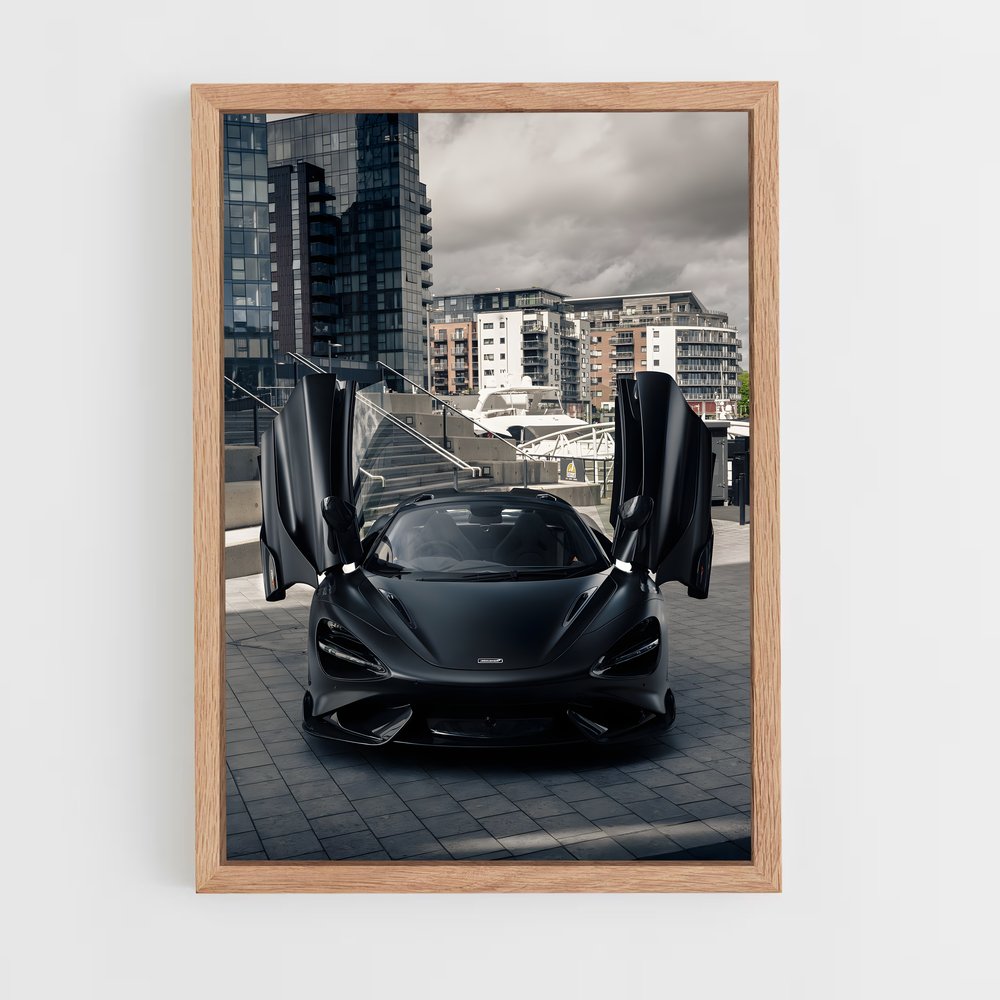 ap-765lt spider-5 cadre Bois clair