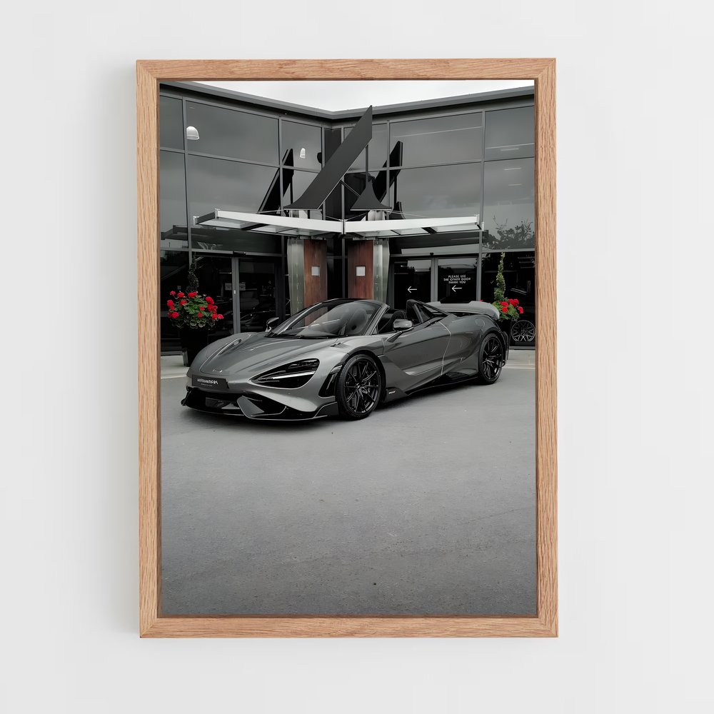 ap-765lt spider-7 cadre Bois clair