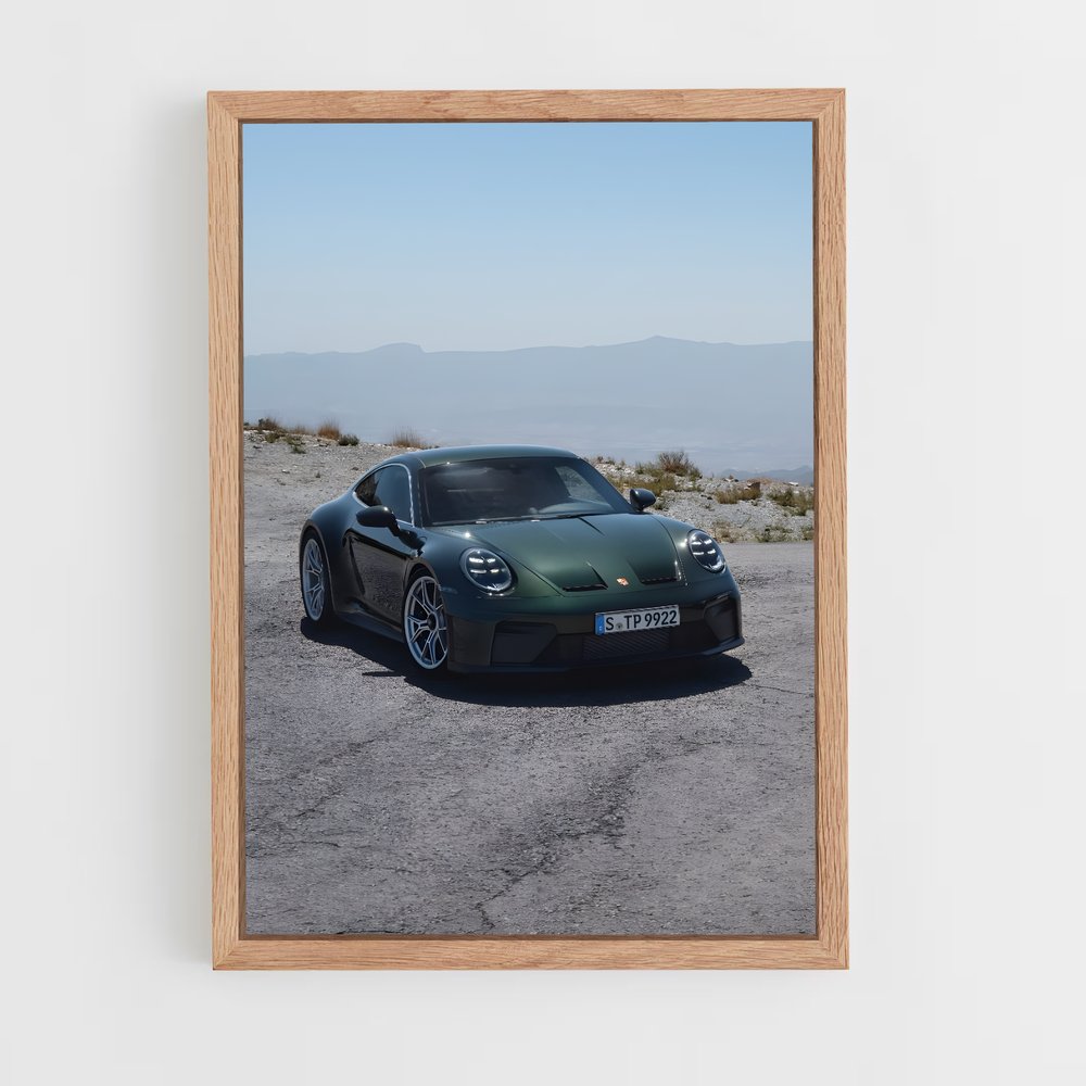 ap-911 gt3 touring-6 cadre Bois clair