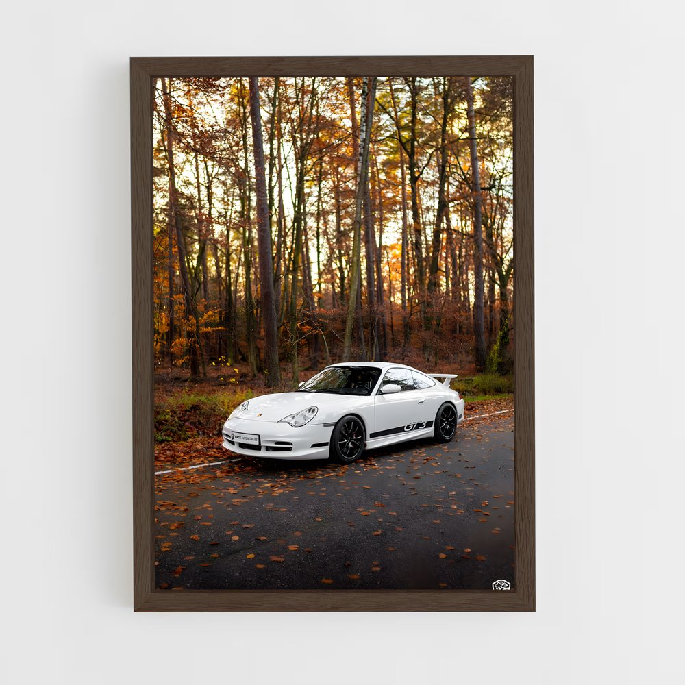 ap-996 gt3-1 cadre Bois foncé