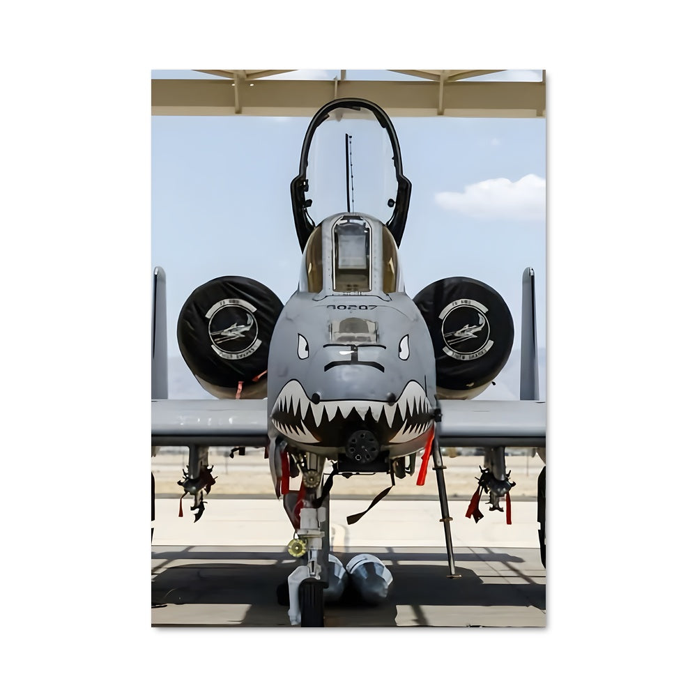 Poster Shark Warthog