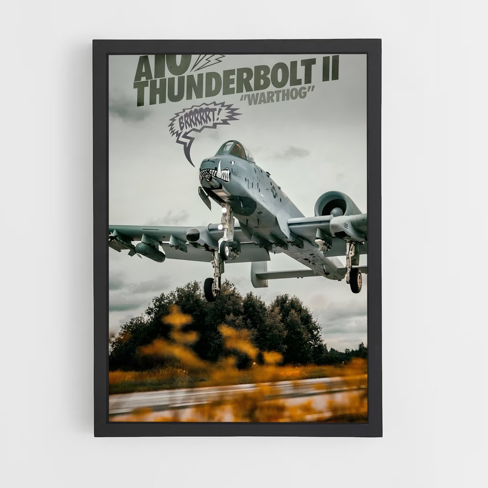 ap-a-10 warthog-1 cadre Noir