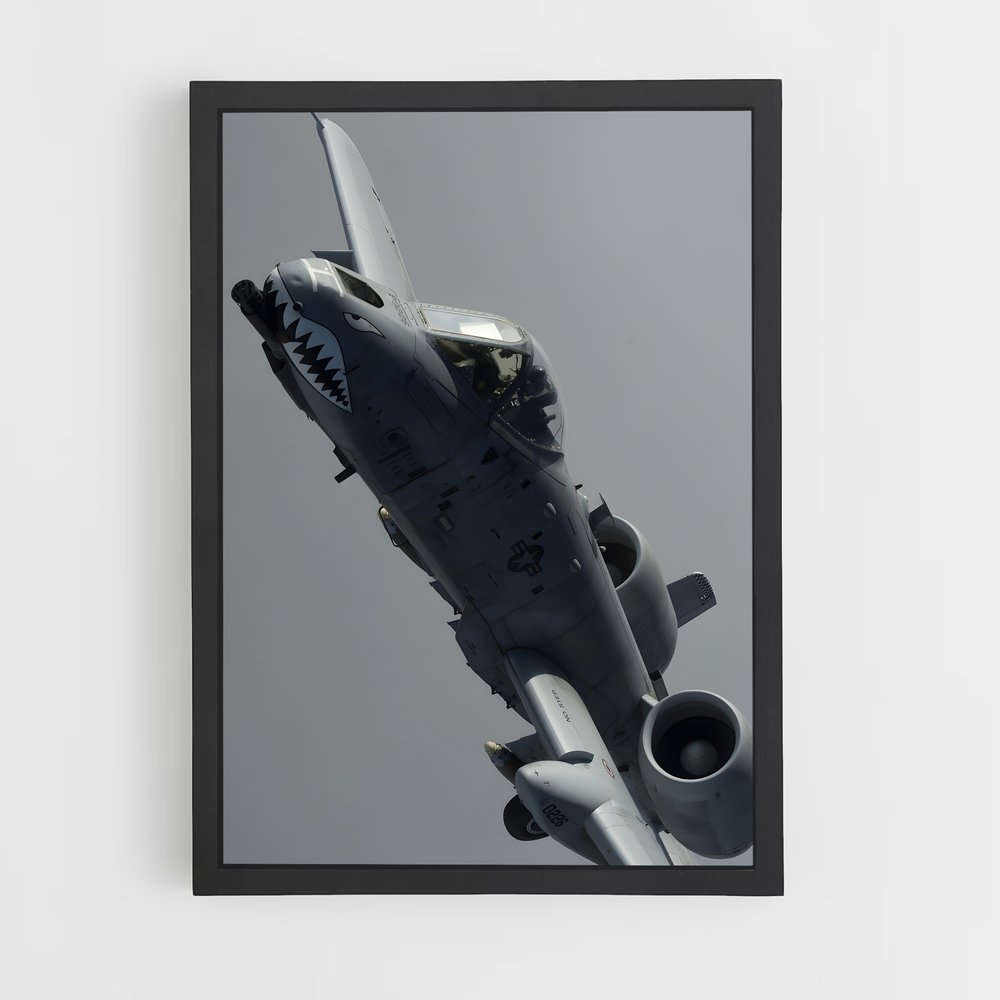 ap-a-10 warthog-2 cadre Noir
