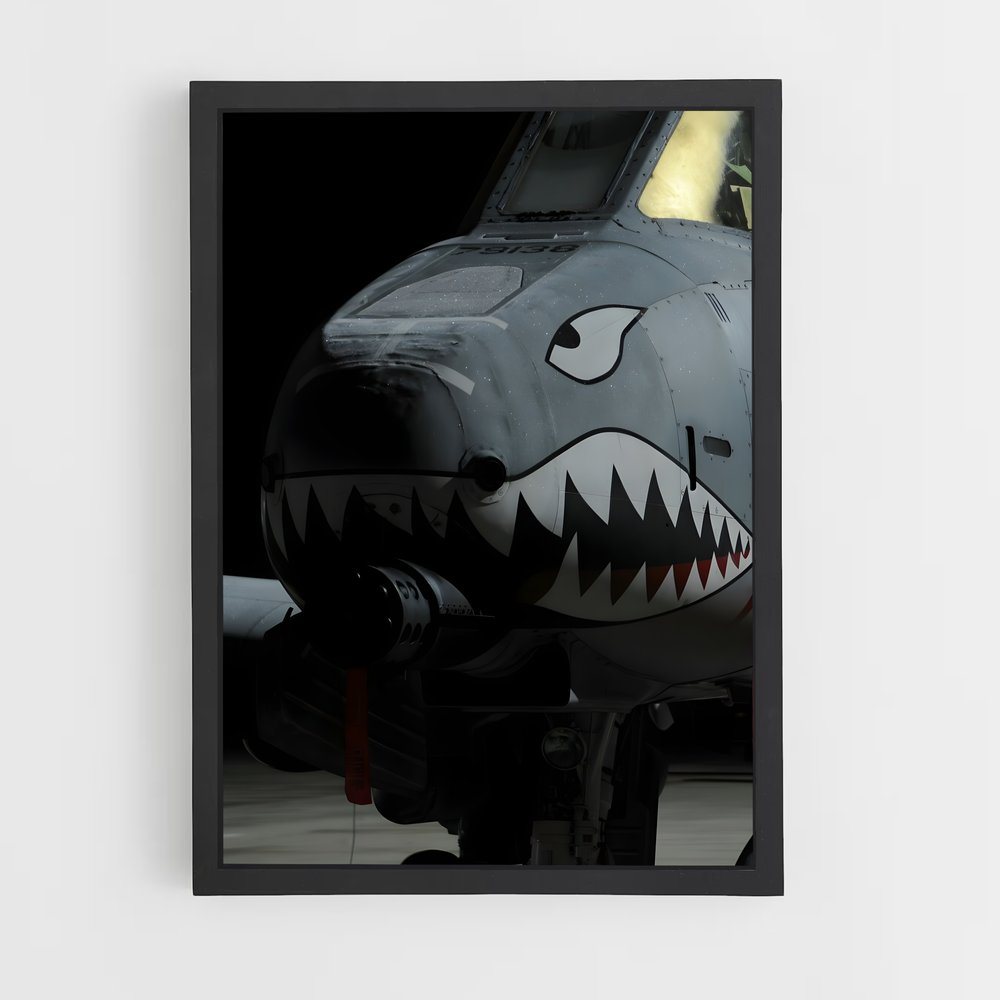 ap-a-10 warthog-9 cadre Noir