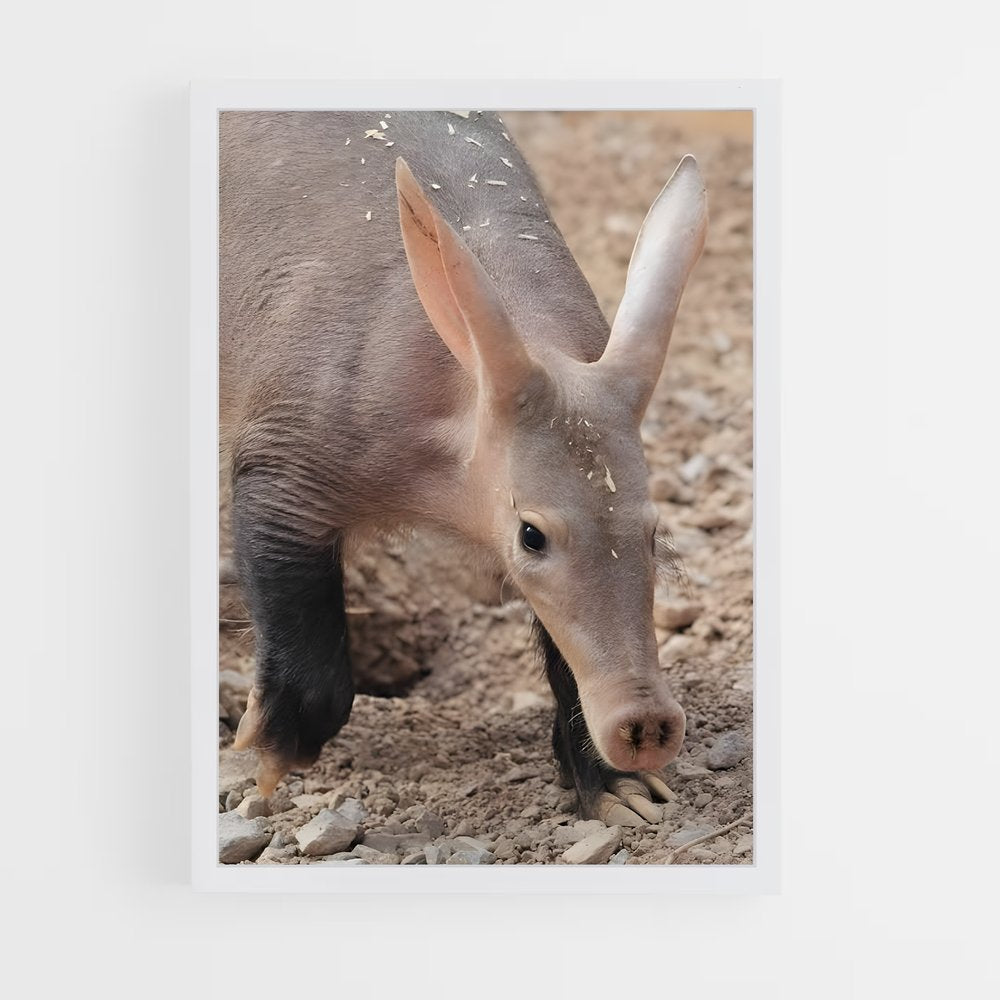ap-aardvark-3 cadre Blanc