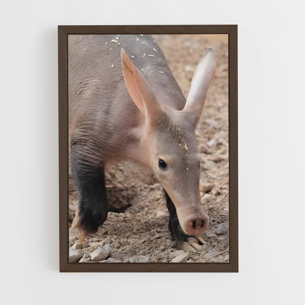 ap-aardvark-3 cadre Bois foncé