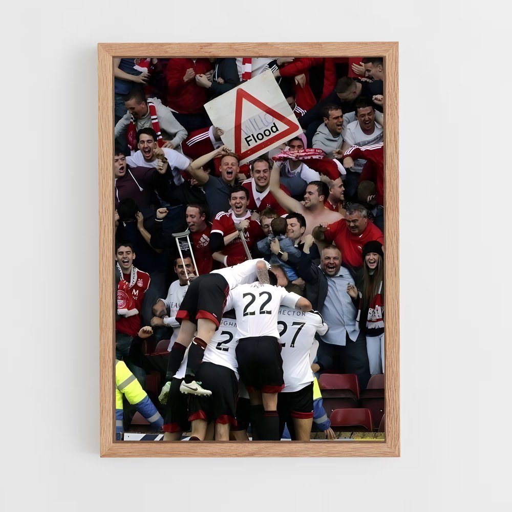 ap-aberdeen fc-7 cadre Bois clair