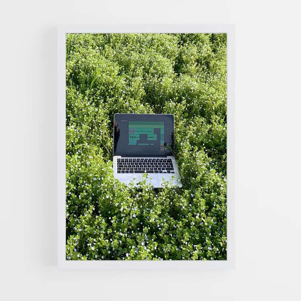 ap-ableton live-3 cadre Blanc