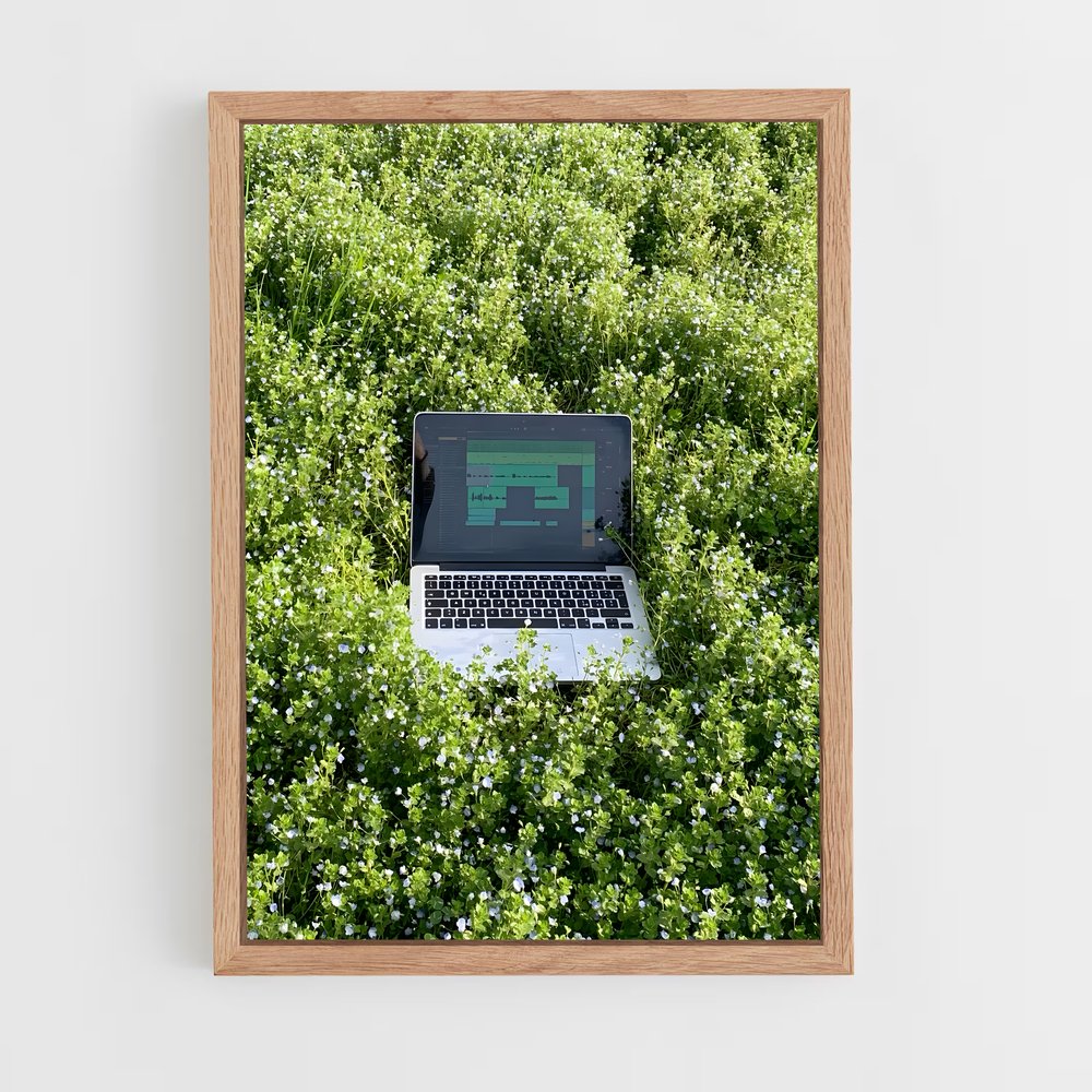 ap-ableton live-3 cadre Bois clair
