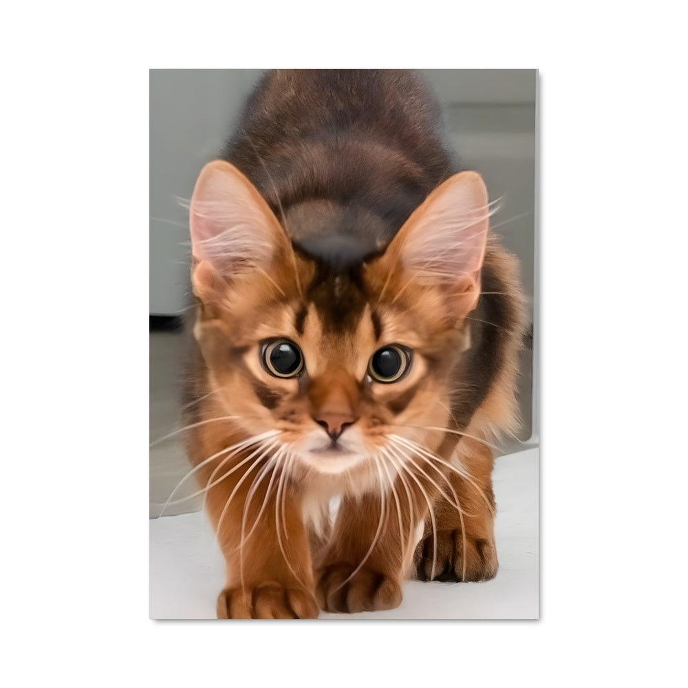 Poster Minou Mystique