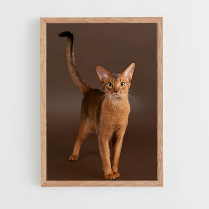 ap-abyssinian-2 cadre Bois clair