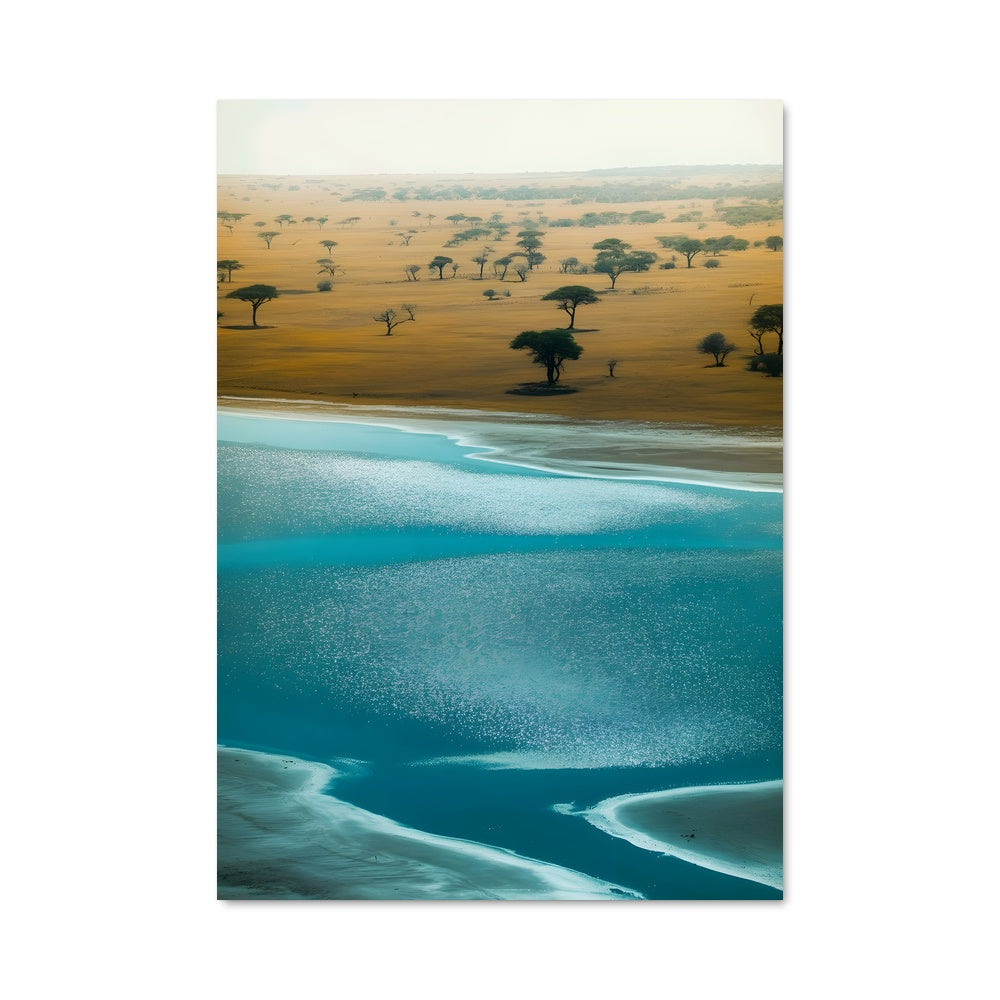 Poster Reflets d'Acacia