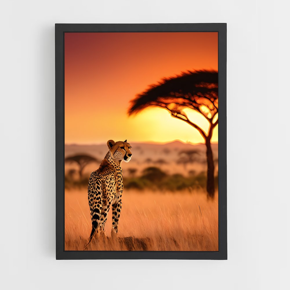 ap-acacia trees-7 cadre Noir