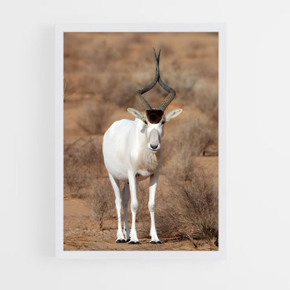 ap-addax-2 cadre Blanc