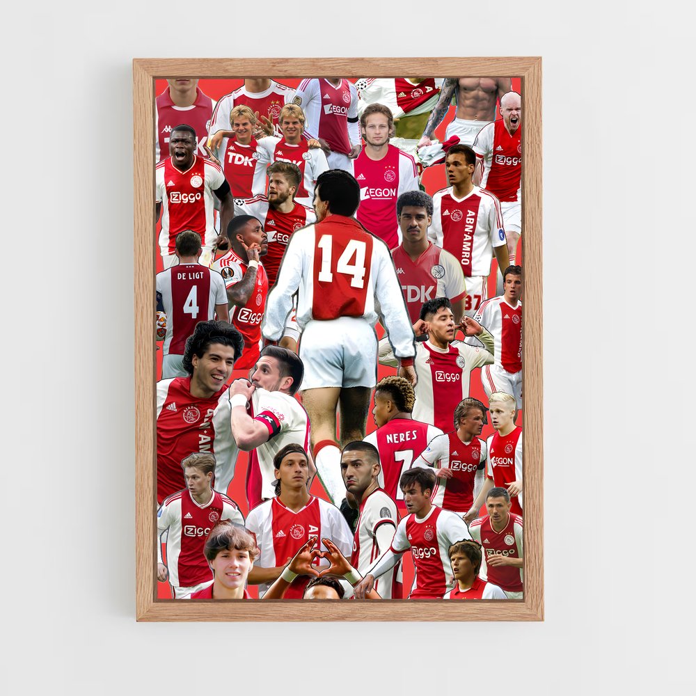 ap-afc ajax-3 cadre Bois clair