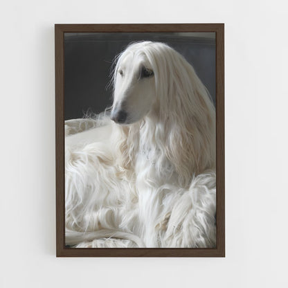 ap-afghan hound-1 cadre Bois foncé