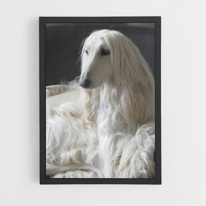 ap-afghan hound-1 cadre Noir