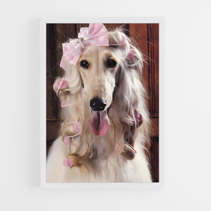 ap-afghan hound-4 cadre Blanc