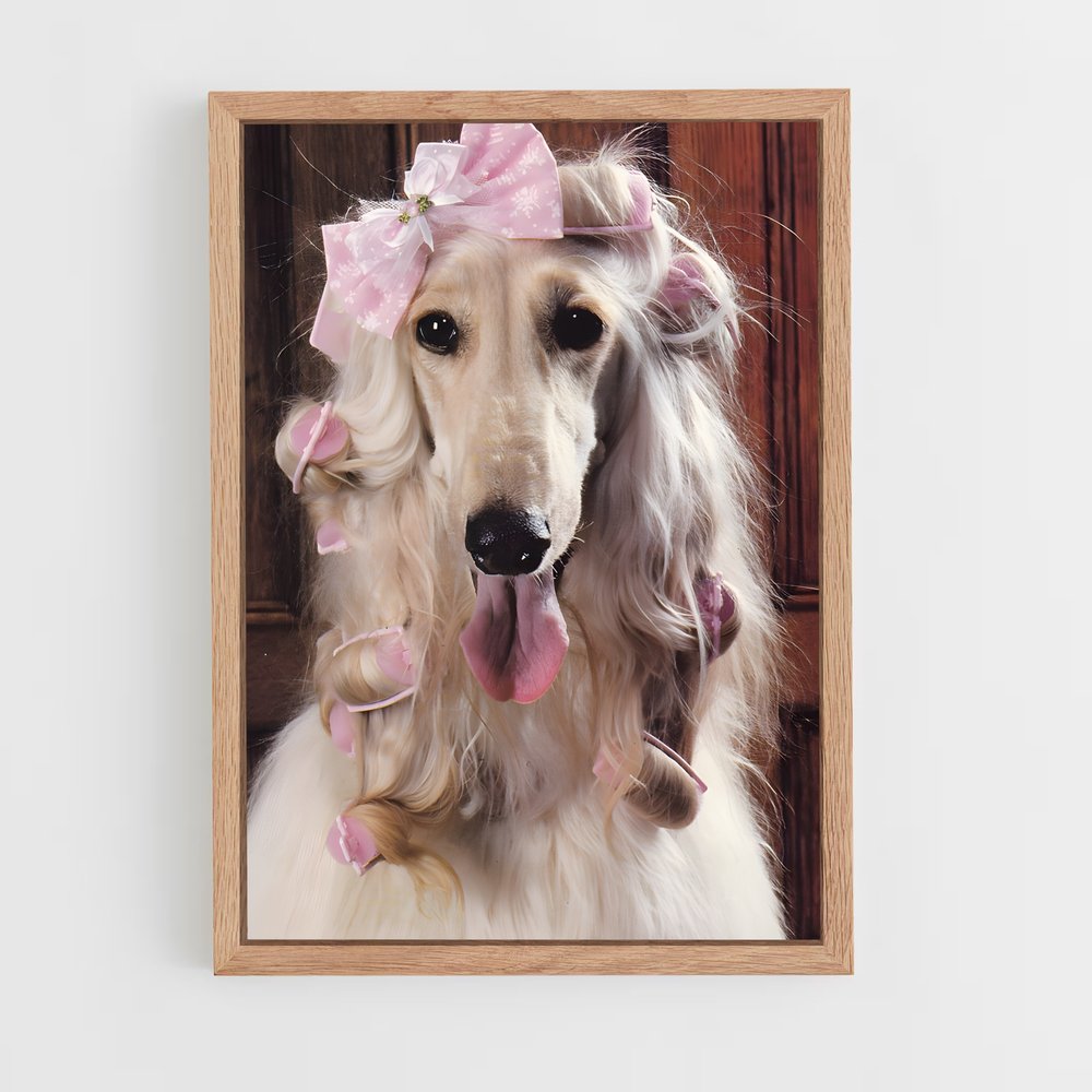 ap-afghan hound-4 cadre Bois clair