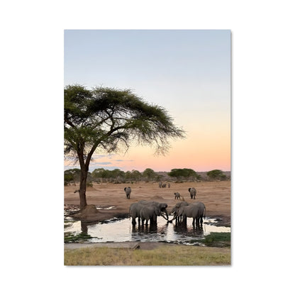 Poster Africa 85843