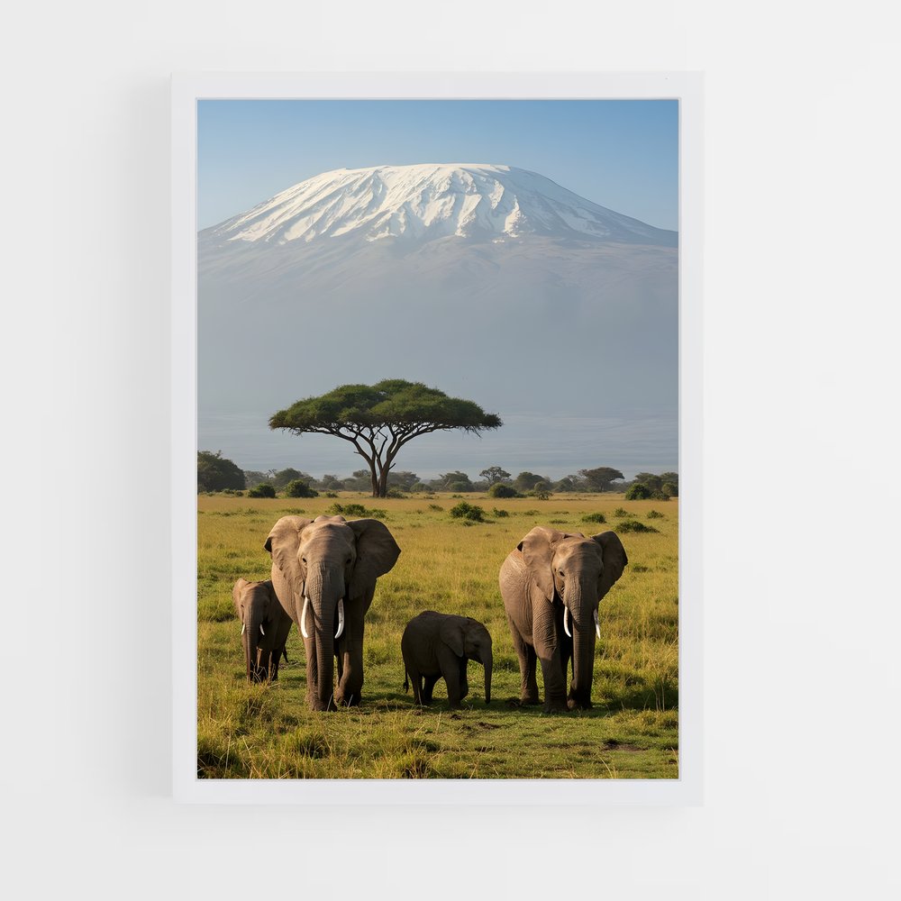 ap-african savanna-1 cadre Blanc