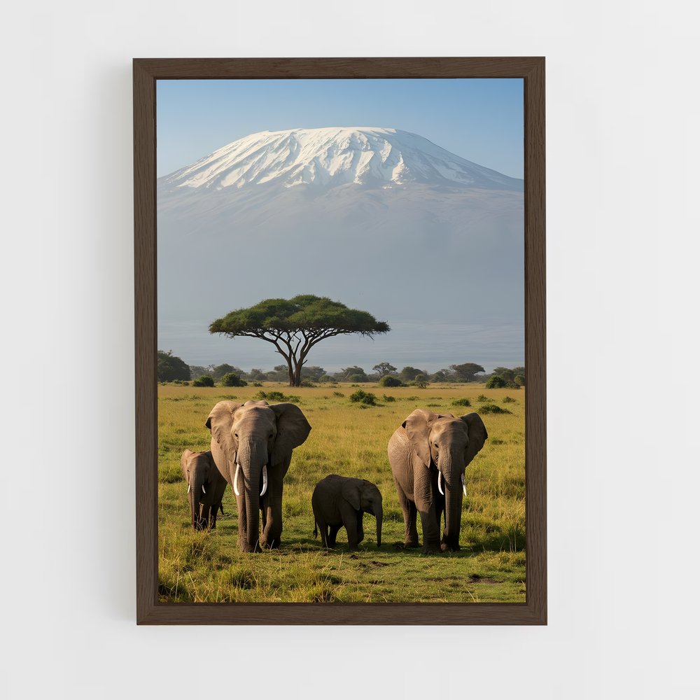 ap-african savanna-1 cadre Bois foncé