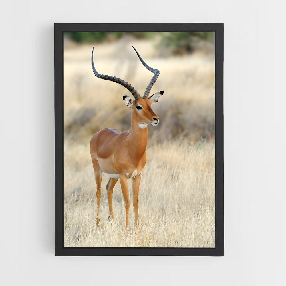 ap-african savanna-3 cadre Noir