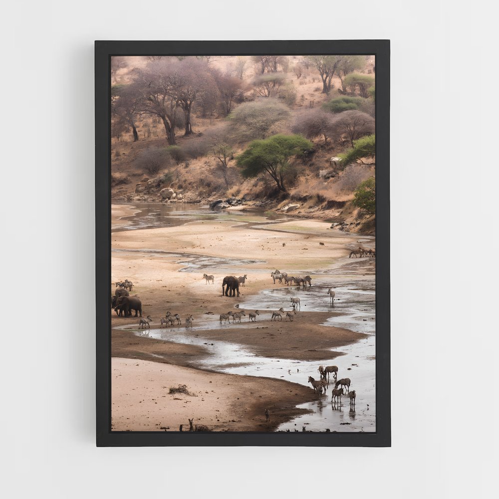 ap-african savanna-4 cadre Noir