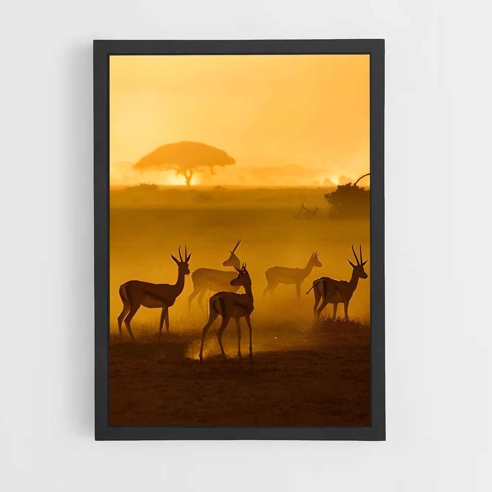 ap-african savanna-8 cadre Noir