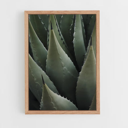 ap-agave-1 cadre Bois clair
