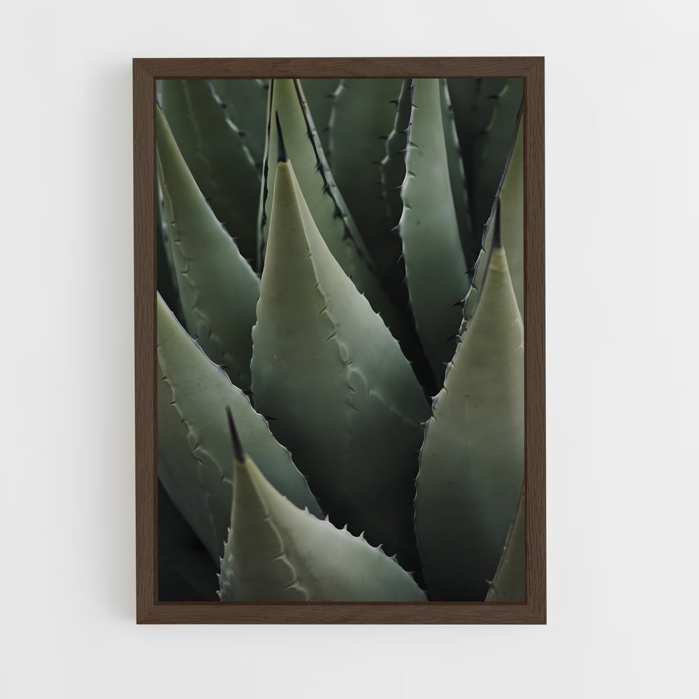 ap-agave-1 cadre Bois foncé
