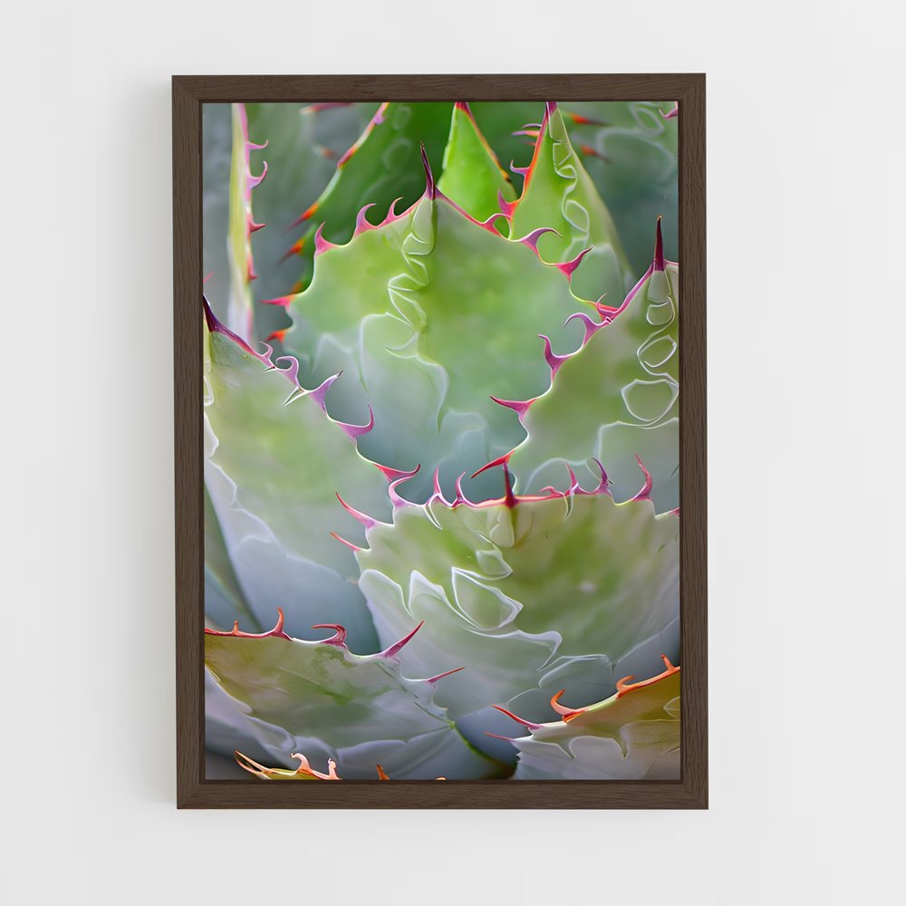 ap-agave-2 cadre Bois foncé