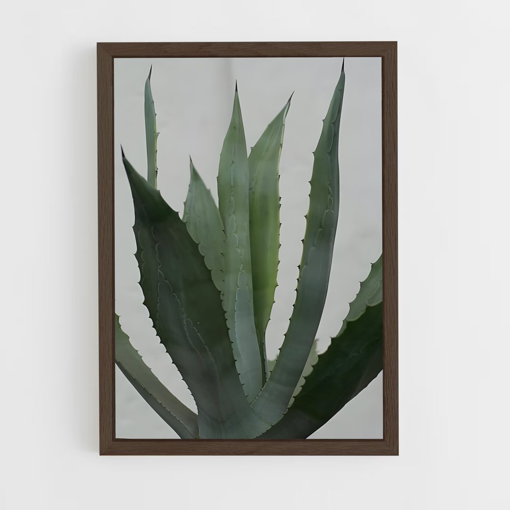 ap-agave-3 cadre Bois foncé