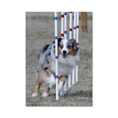 Poster Agility en Action