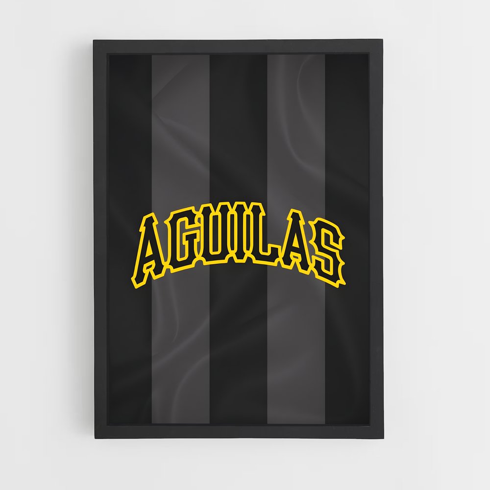 ap-aguilas cibaenas-4 cadre Noir