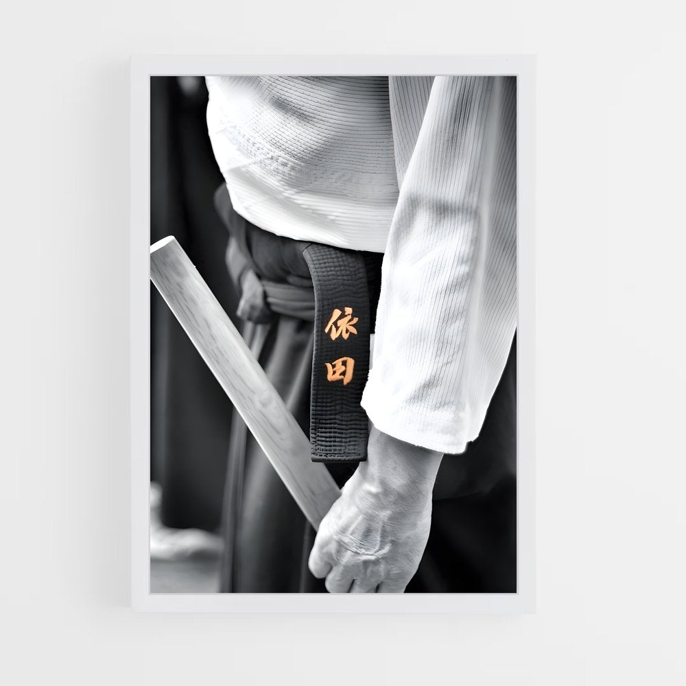 ap-aikido-1 cadre Blanc
