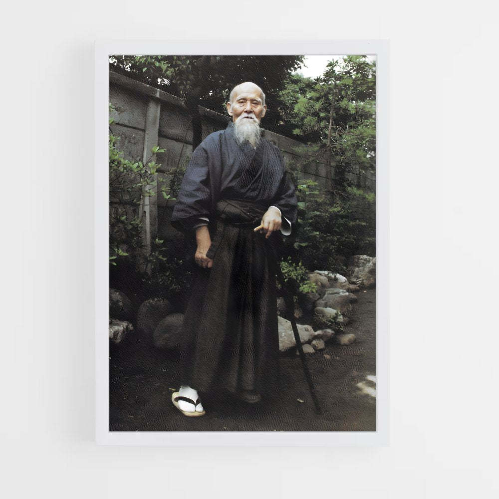 ap-aikido-3 cadre Blanc