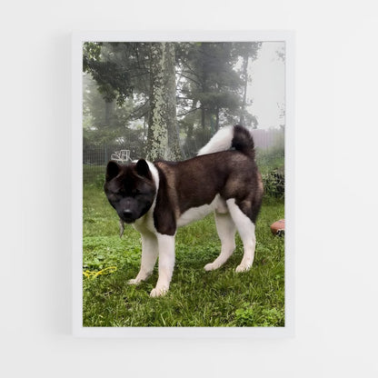 ap-akita-1 cadre Blanc