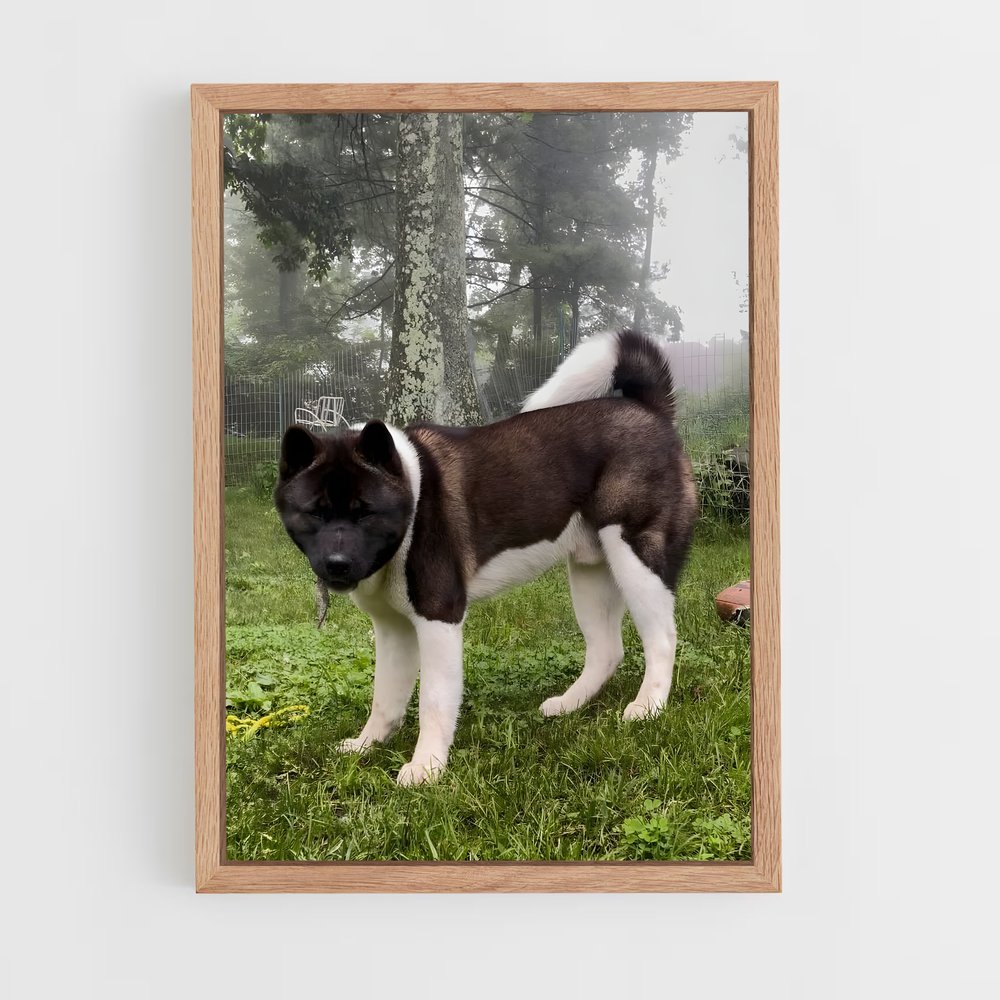 ap-akita-1 cadre Bois clair