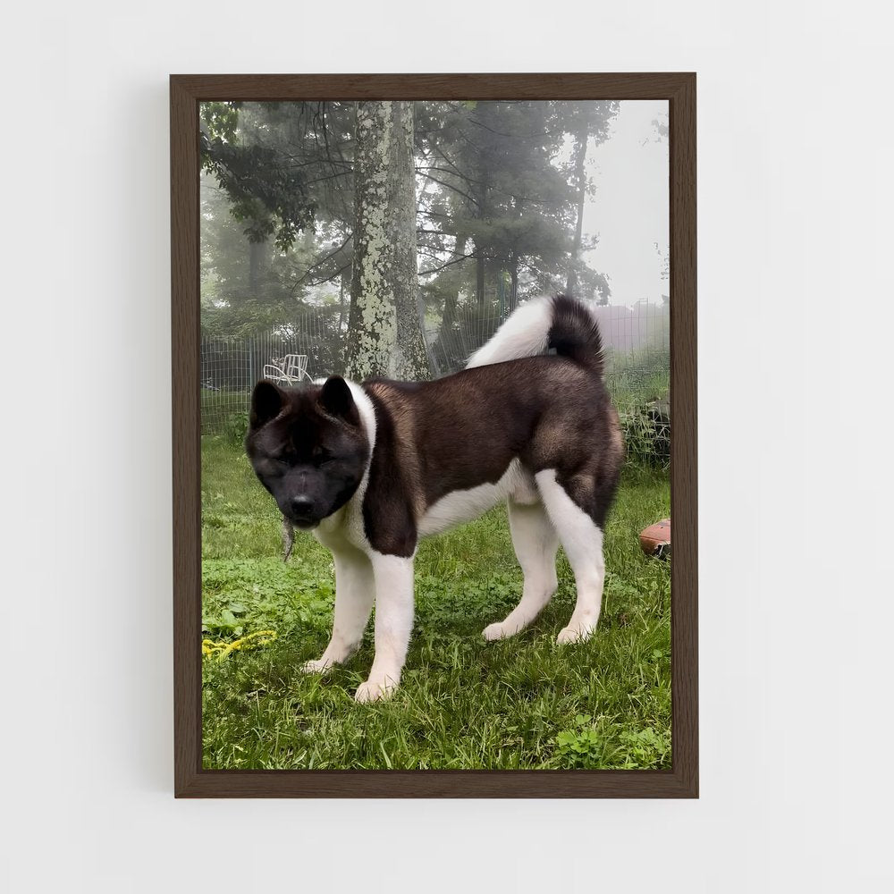 ap-akita-1 cadre Bois foncé
