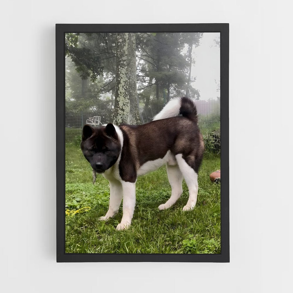 ap-akita-1 cadre Noir