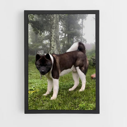 ap-akita-1 cadre Noir