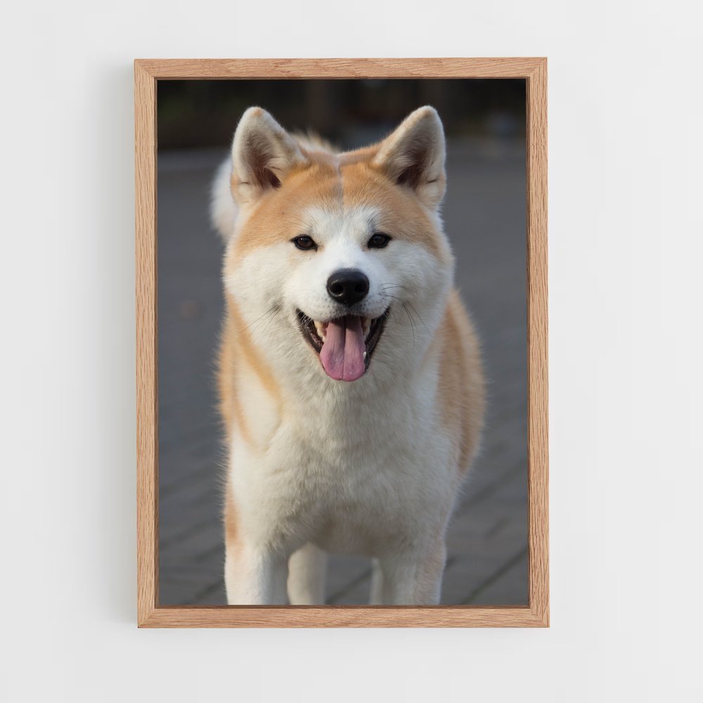 ap-akita-3 cadre Bois clair