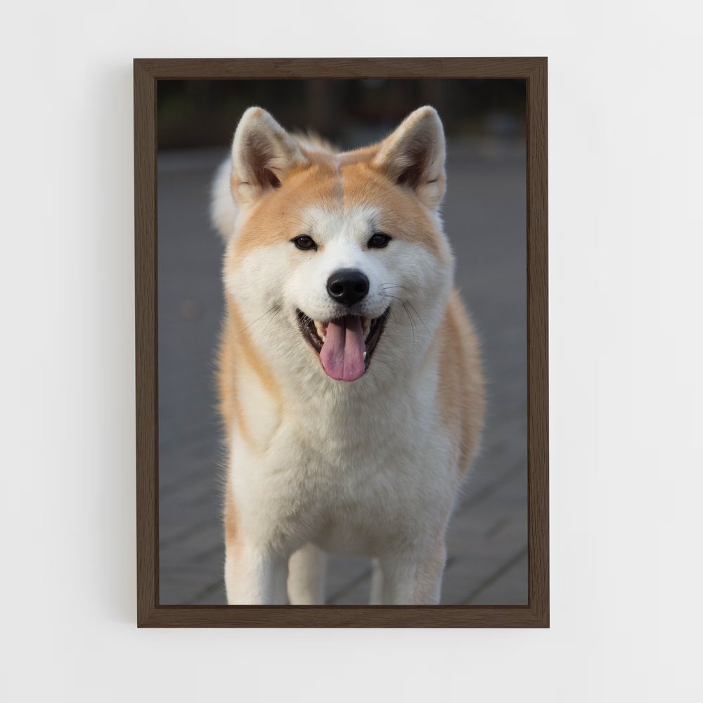 ap-akita-3 cadre Bois foncé