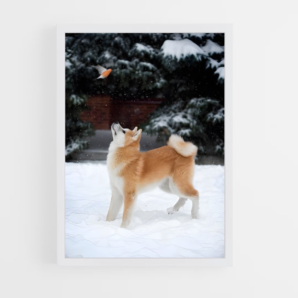 ap-akita-4 cadre Blanc