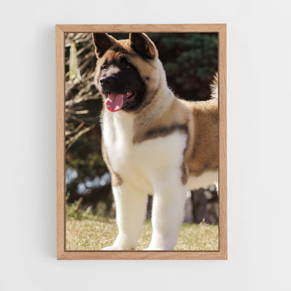 ap-akita-5 cadre Bois clair